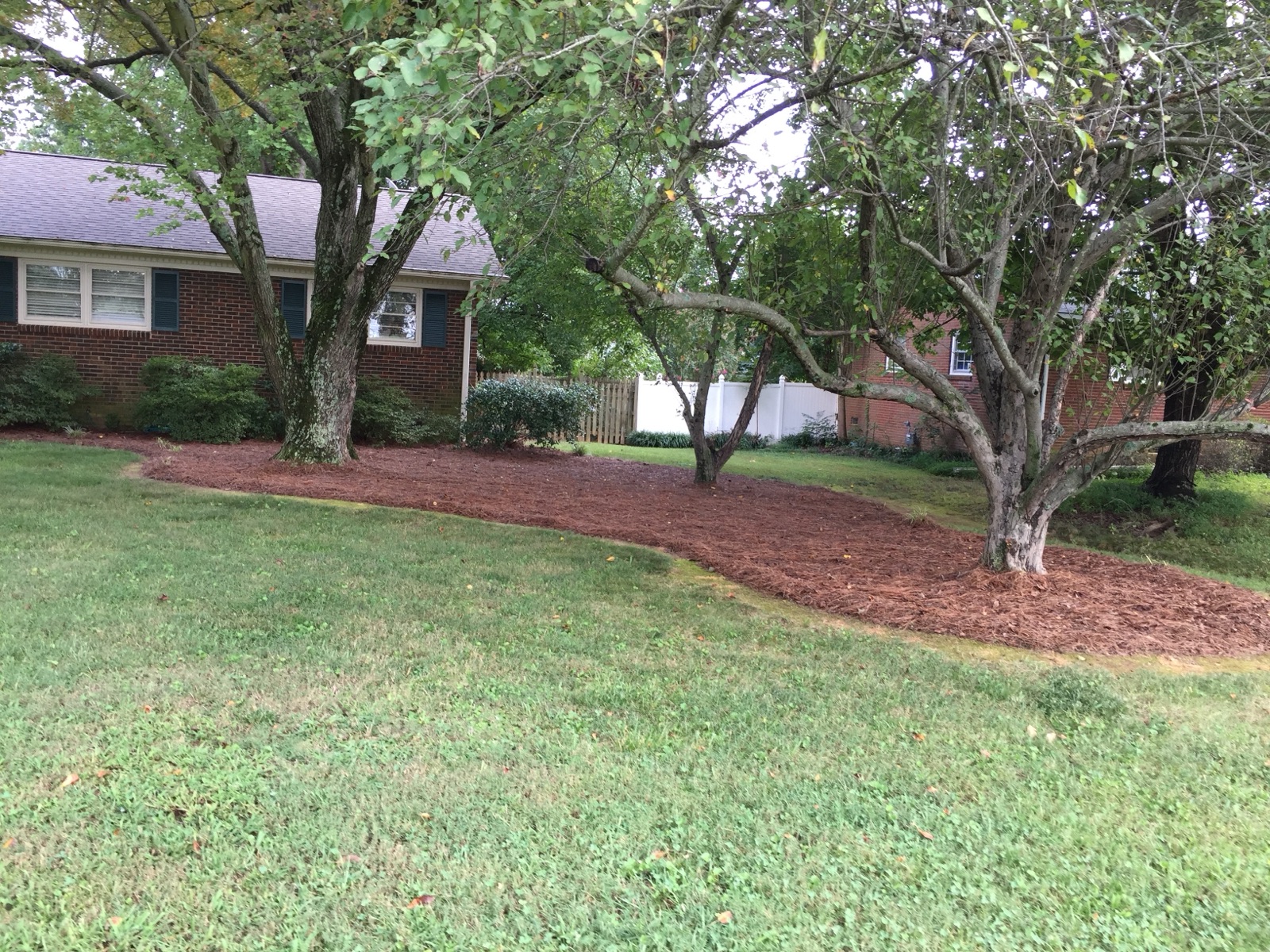 Tree & Shrub Program
