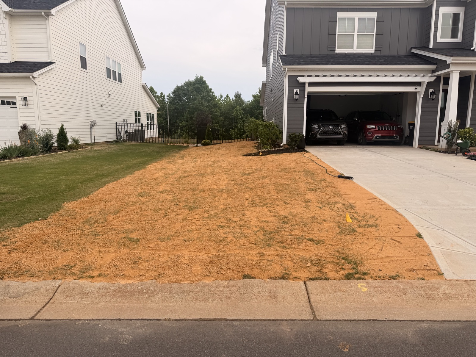Aeration & Overseeding