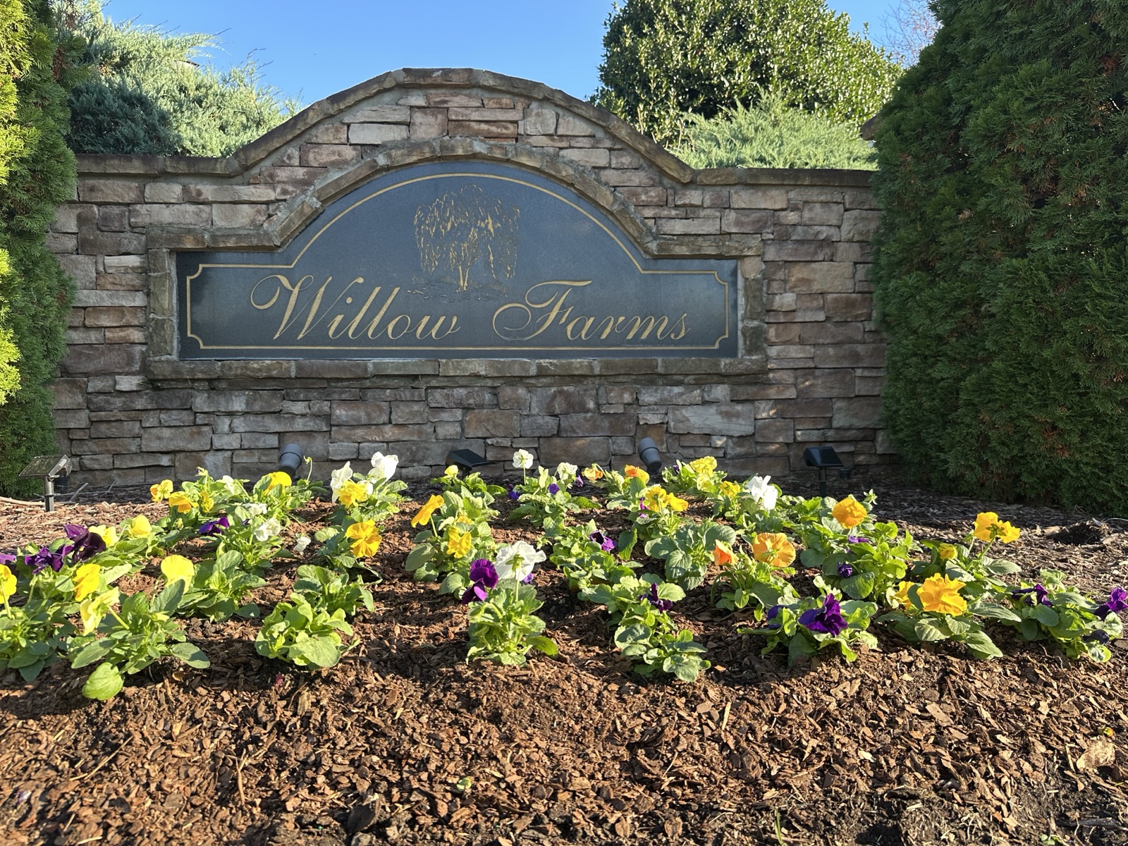 Flowering beds at a community entrance