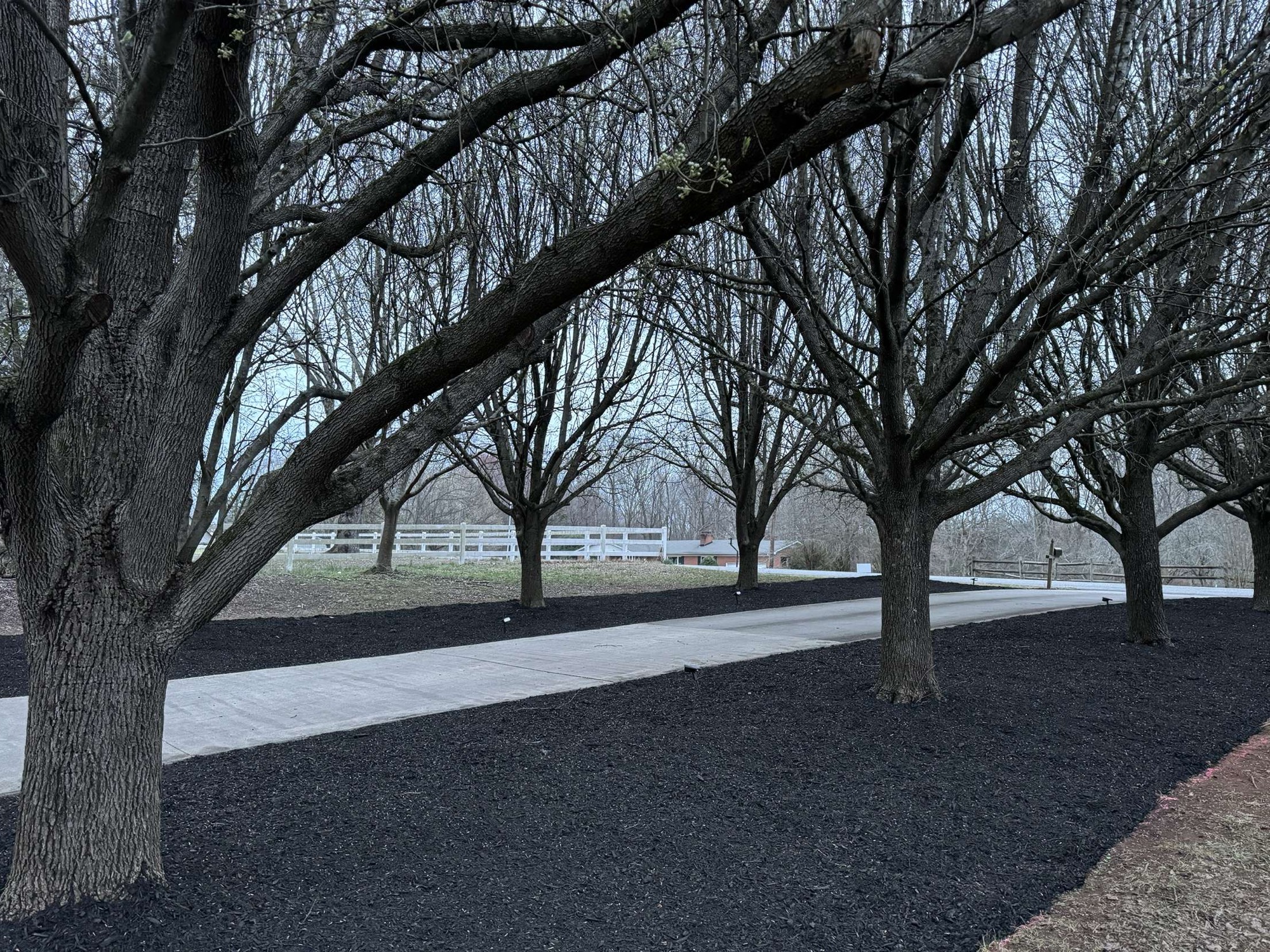 Mulch & Pine Needles