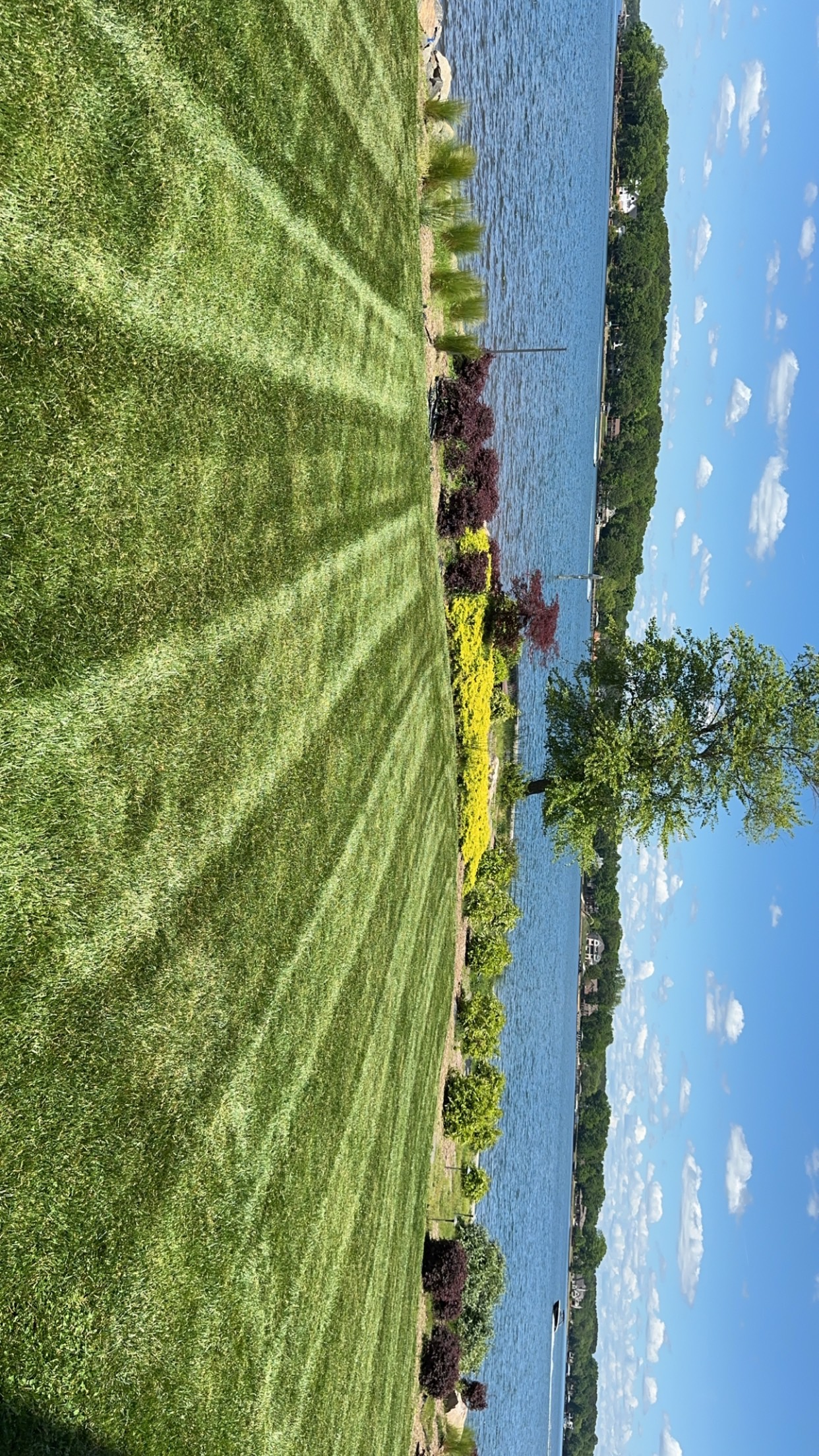 Aeration & Overseeding